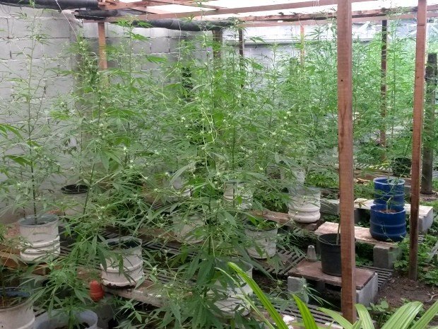 20out13-professor-consumidor-1