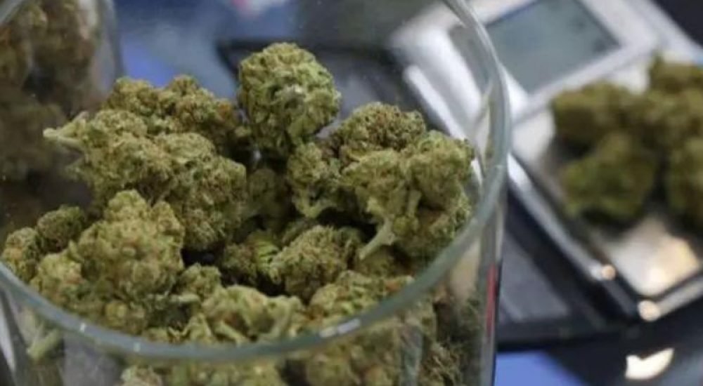 01jul24-maconha-decisoes-delegado-1