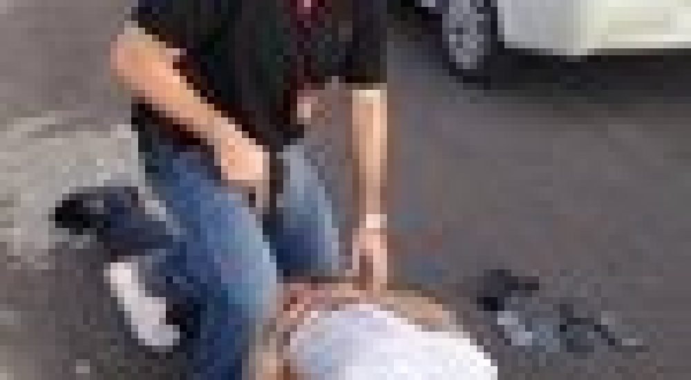 02a8cf250e5b1bbeed8a2e6033ffb150