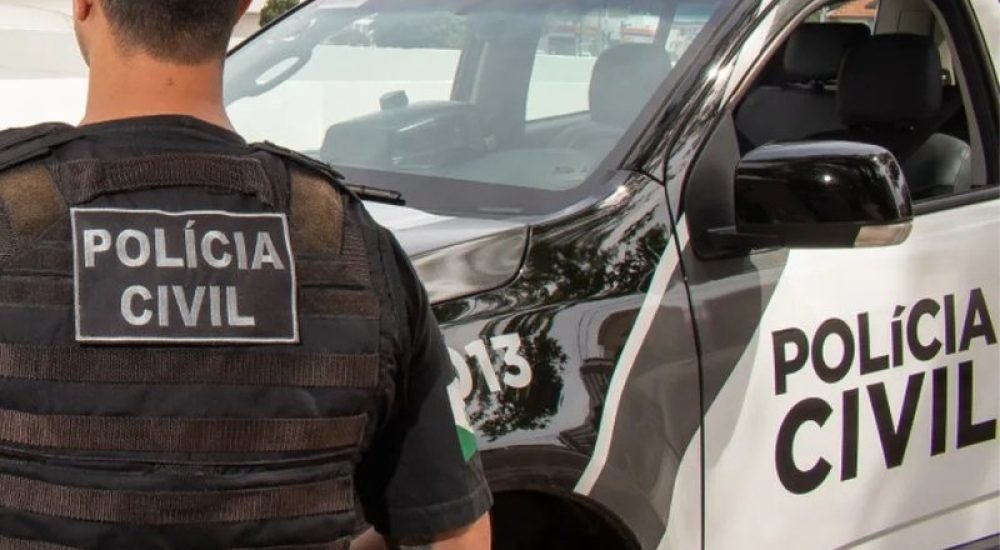 19FEV25-LEI-ORGANICA-1