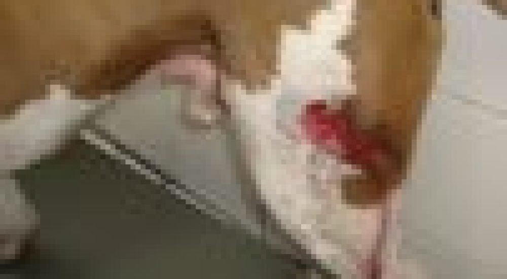 1adc3b242df2e1b13bf0aab9faacd80a