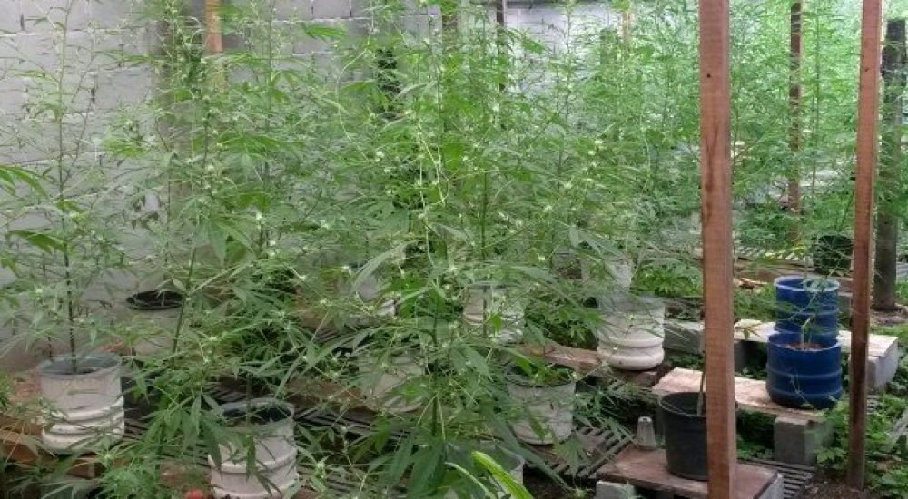 20out13-professor-consumidor-1