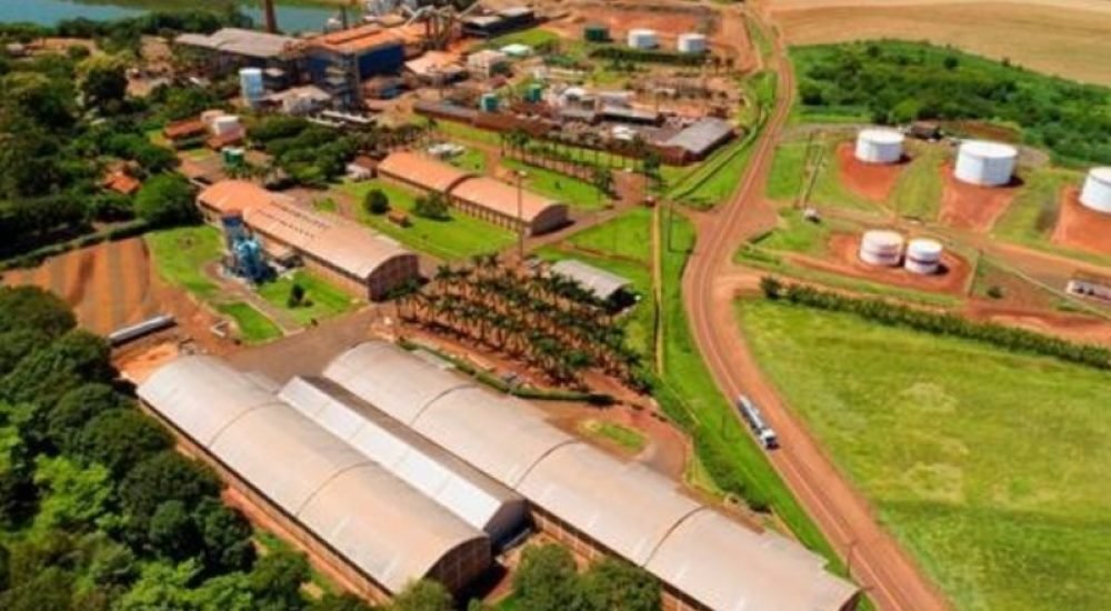 26ago24-DEL-empresa-crime-florestal-1