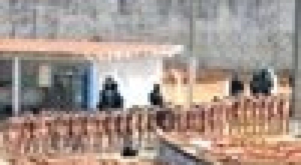 29ce24a084a94893947f3fca54d7155f