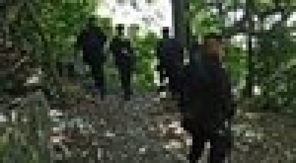 29efb20beb7a049e643e1b989a9fbd24