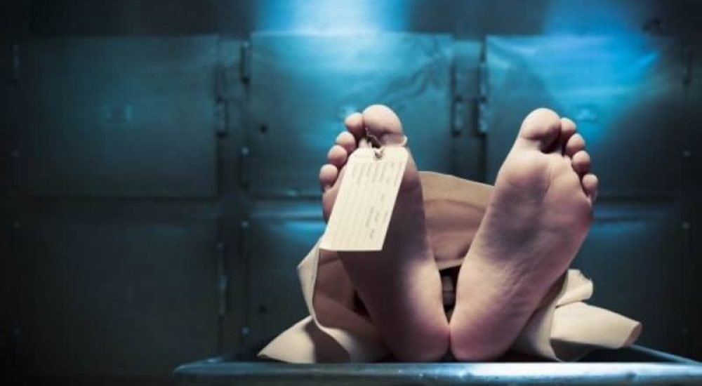 29fb3b96bcd5fb184d129c401745b52b