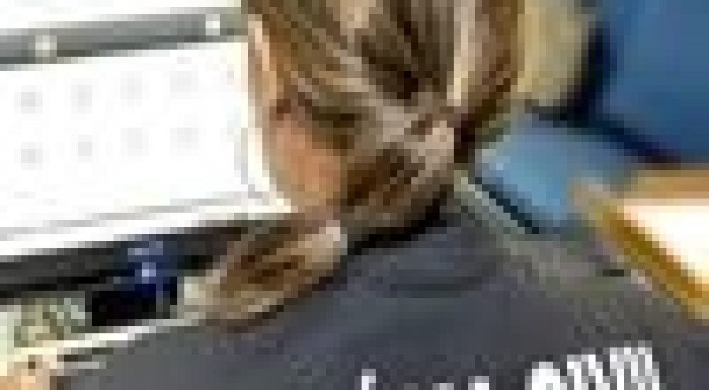 2ee80c33d67e0ebffed64653bf9b6503