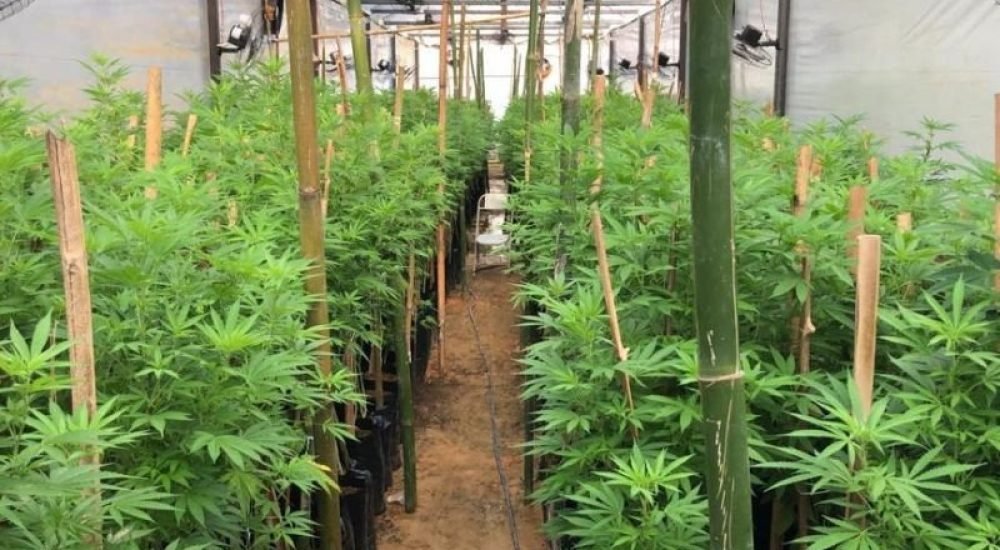 31fbdaf62f5a03bc06adf1c1d2690a21