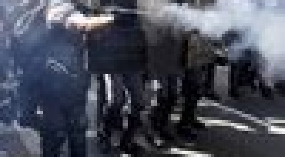 392e91d1068bd943ecc6295ad59d0e99