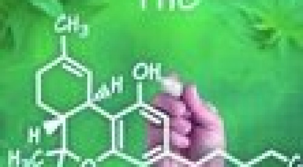 3ba6f63d66db7ce737257ccd024a5d67