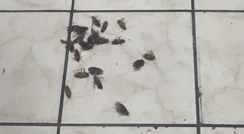 3ff6953cee28816def5a0d6b6bafda80