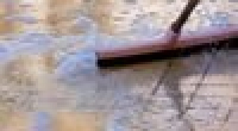 442f37d3ee385afe0a2055390d091f47