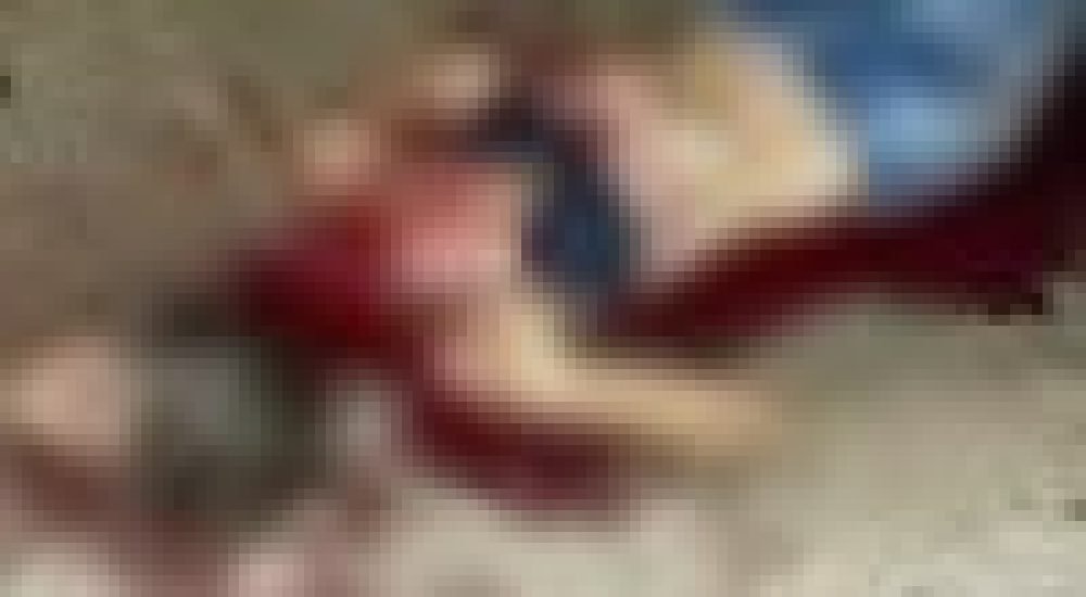 491b2b09bdd54772610b19365cacb831