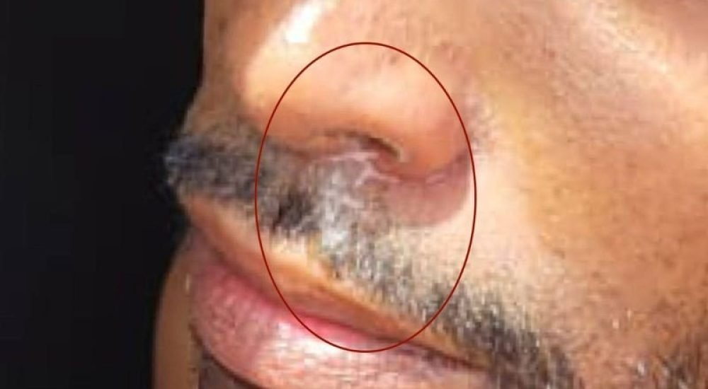 55b7a446e3405c0b9f272744b470a905