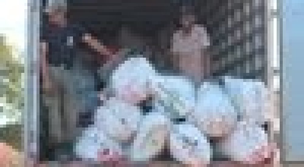 58c55e713efcfd97ae673224c426d916