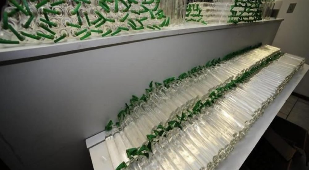 70db018944d6939cb6cc27fbefb8c153