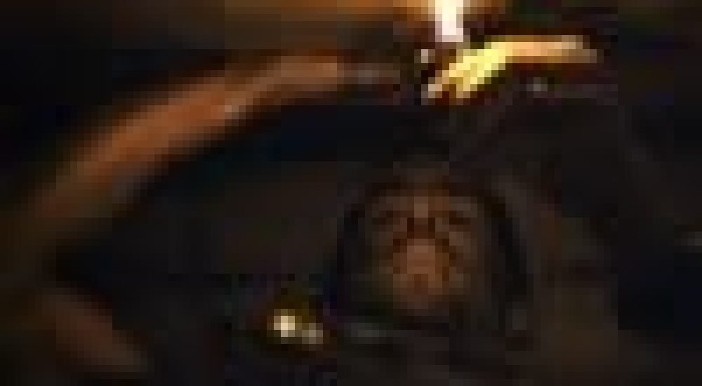 8521dffc9cb65f13c88a5d887dc6bf35