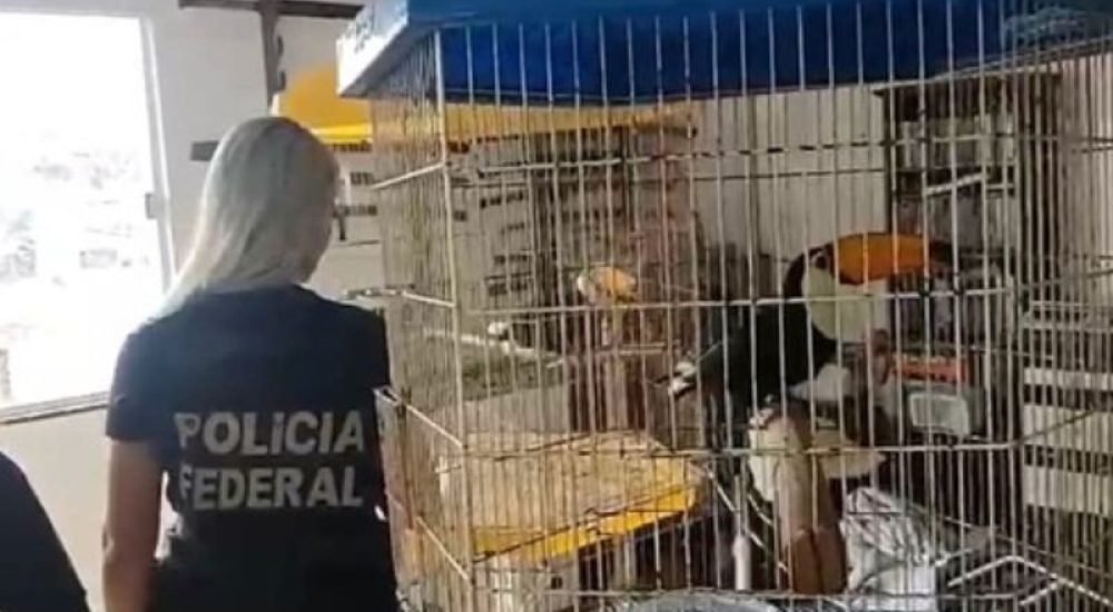 9bf57dbfb7f7de3df0f33e55fb8c9e9b