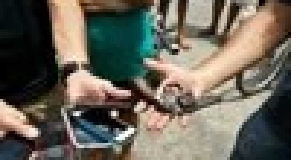 a014c2004b5a2647250d1539801cb092