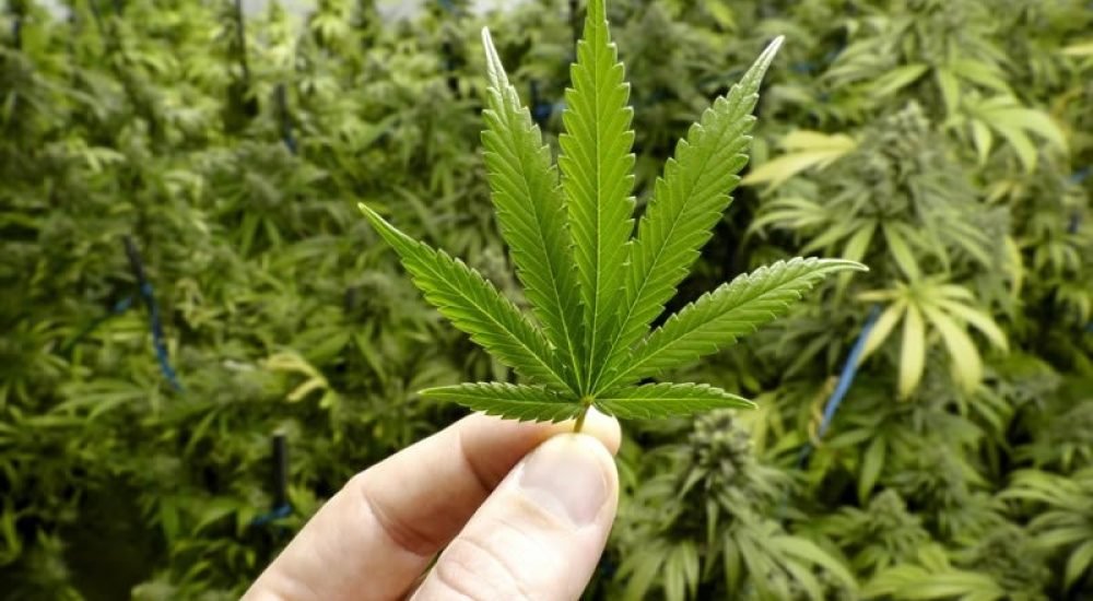 c0f80c746de6bedbd4310aa1edcfdac2