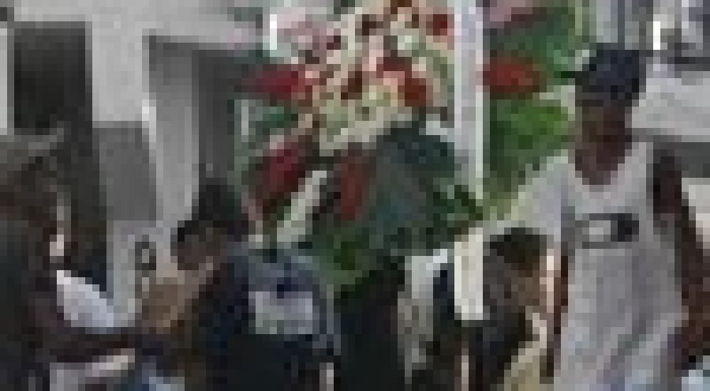 ca5809260aea90d3d55b57f08aa20224