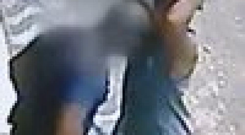 d20539fee8ced7d3607731ad0068c113