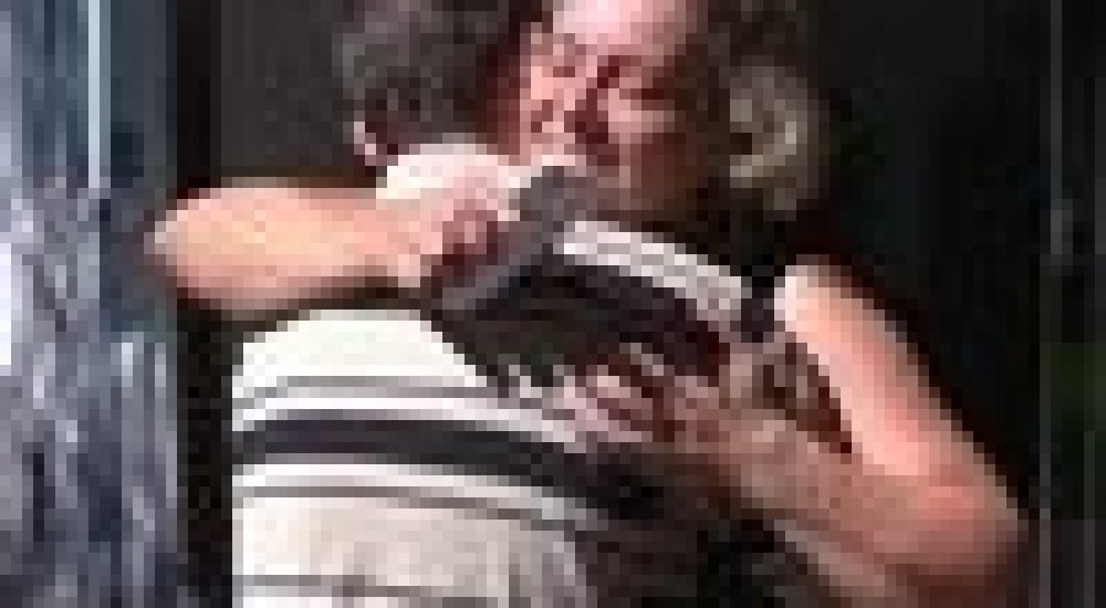 d94267736c6605cb425e2ee8e0a5413d