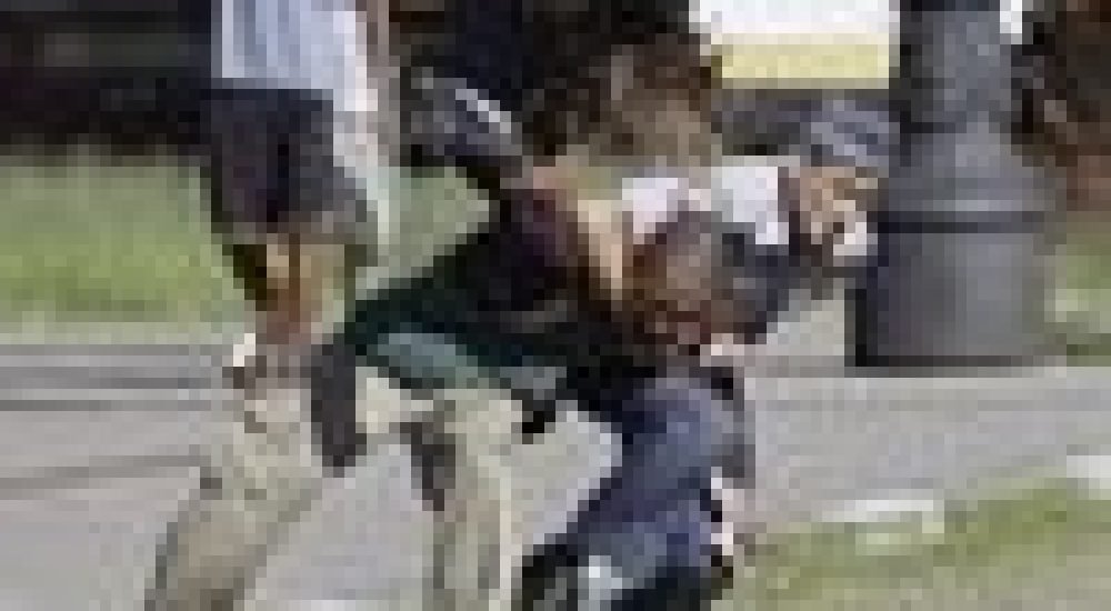 dd4a15006d8ee65742d24d10992a8c8a