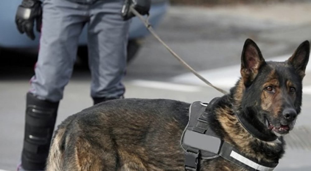 ee971cb69e29e99b88e96ff86842bc2a