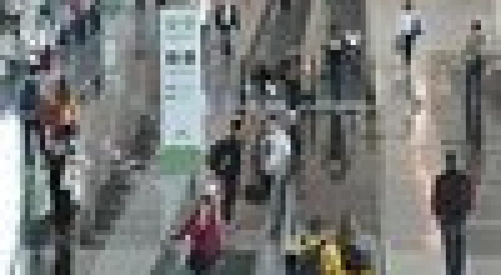 f9683adb1948bc7d04d330f3edeb46a7